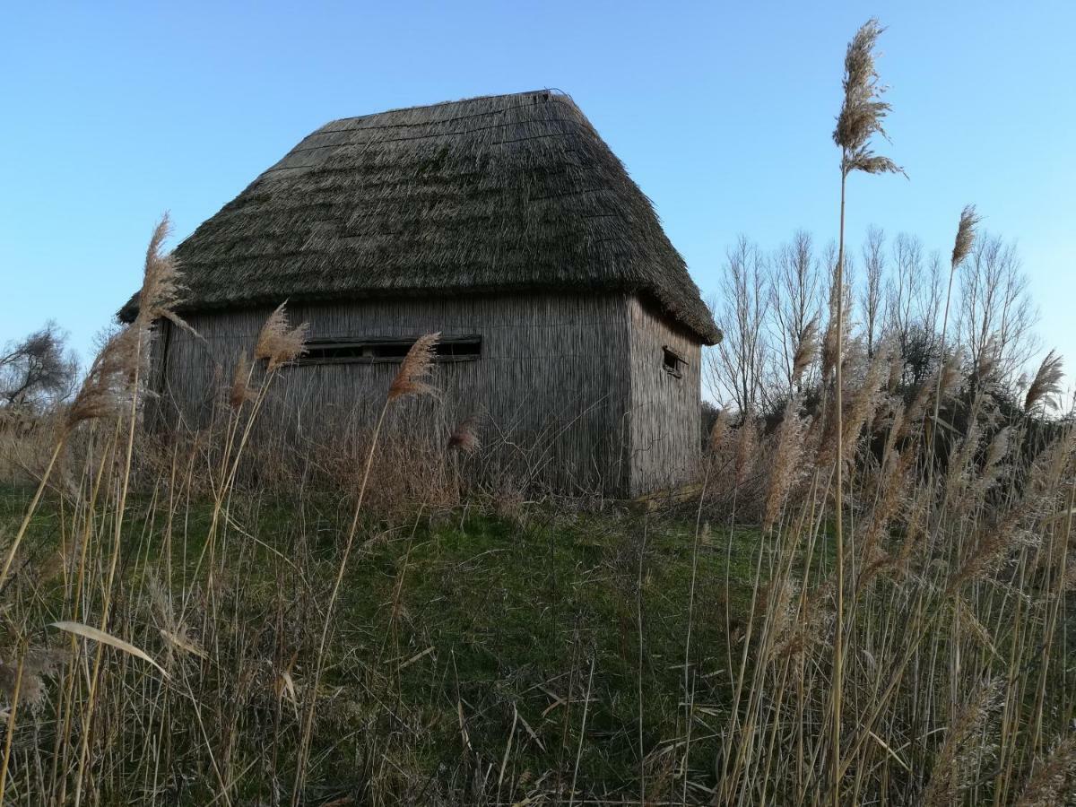Apartamento Il Piccolo Albero Scardovari Exterior foto